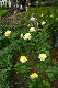 image0221
