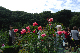 image0222