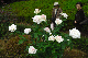 image0224