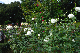 image0225