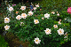 image0227