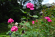 image0228