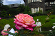 image0230