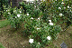 image0231