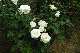image0232