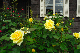image0233