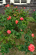image0234