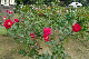 image0235