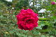image0240