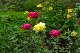 image0249