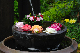 image0252