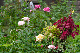 image0254