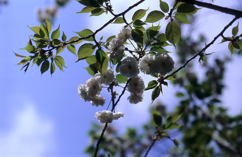 image0026