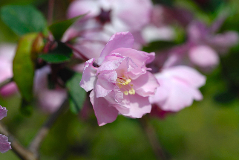 image0100