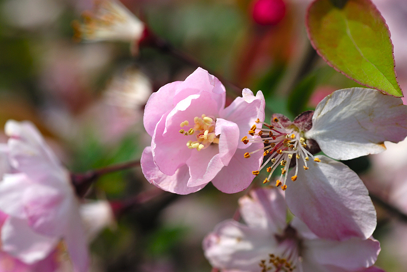 image0106