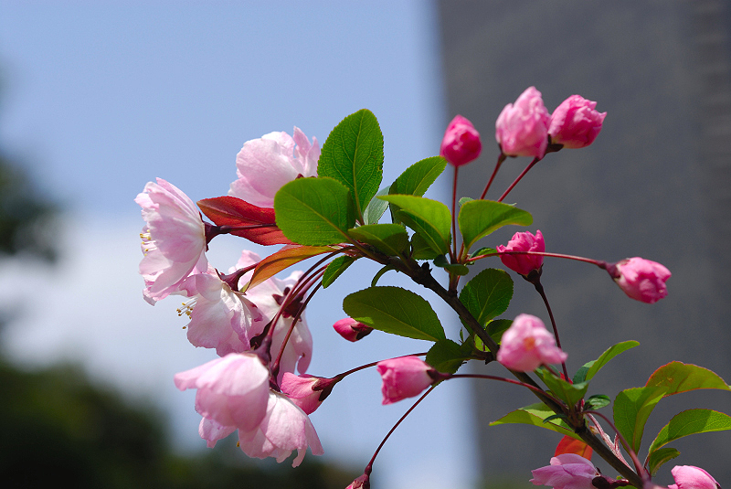 image0114