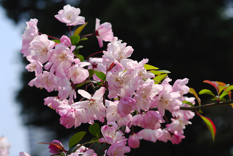 image0118