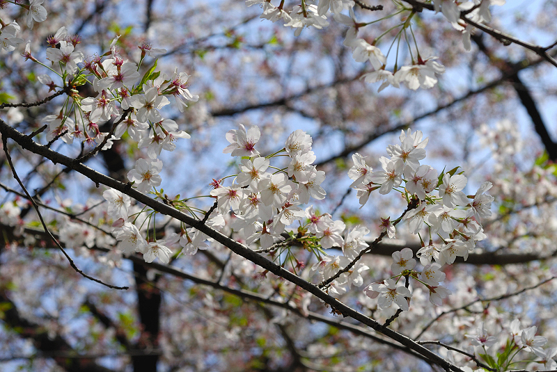 image0122