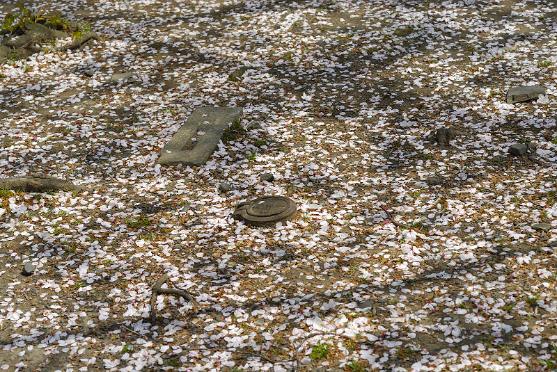 image0123