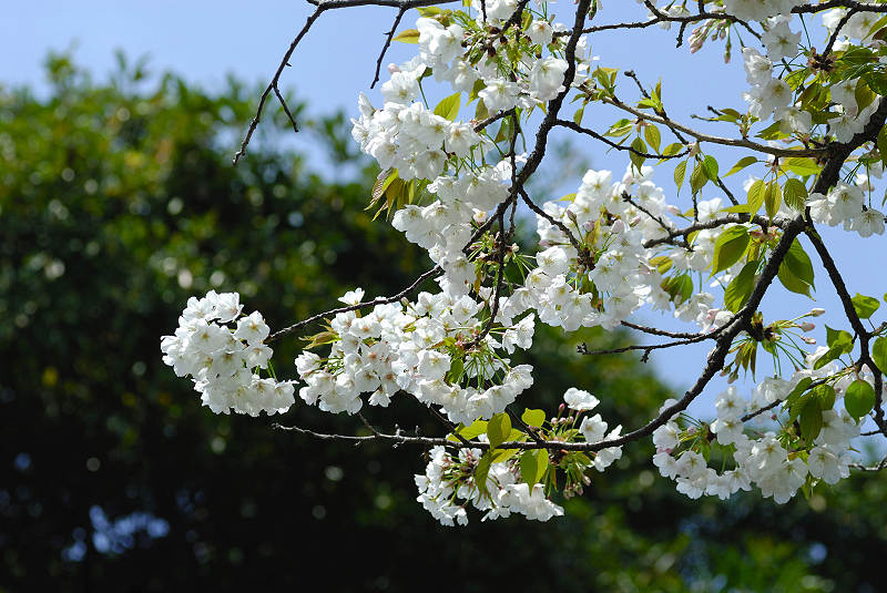 image0134