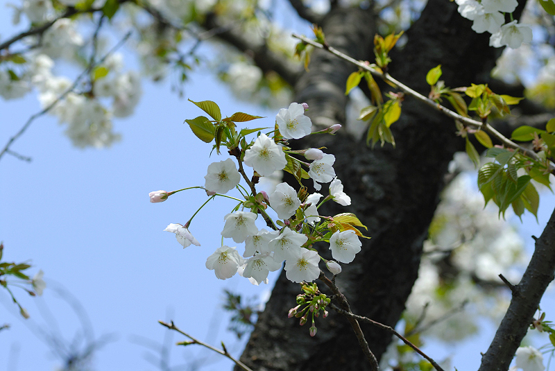image0135