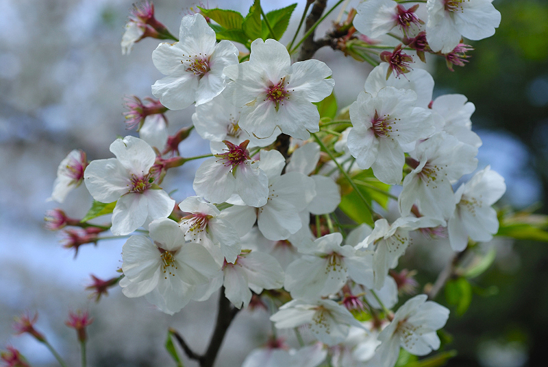 image0140
