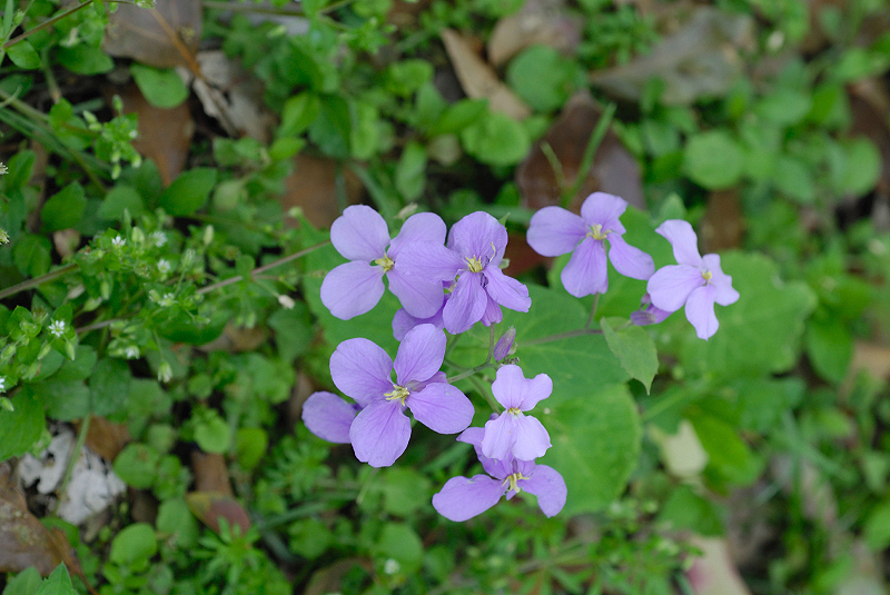 image0147
