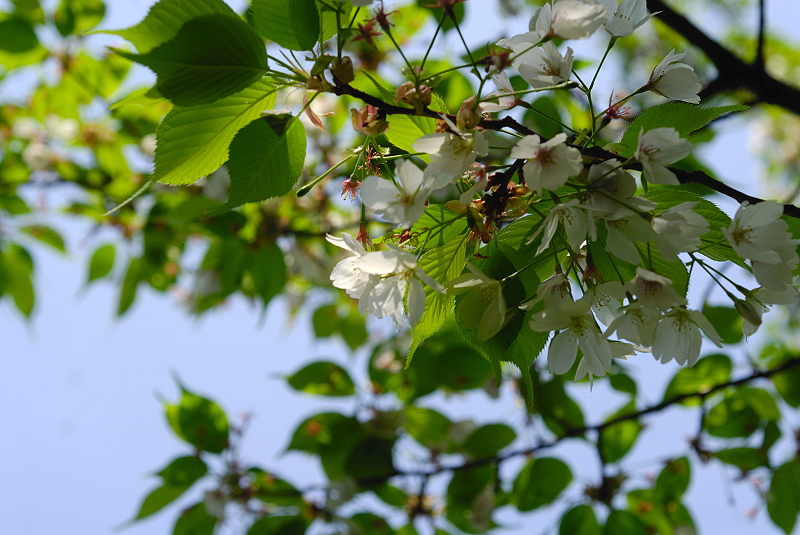 image0148