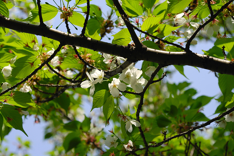 image0150