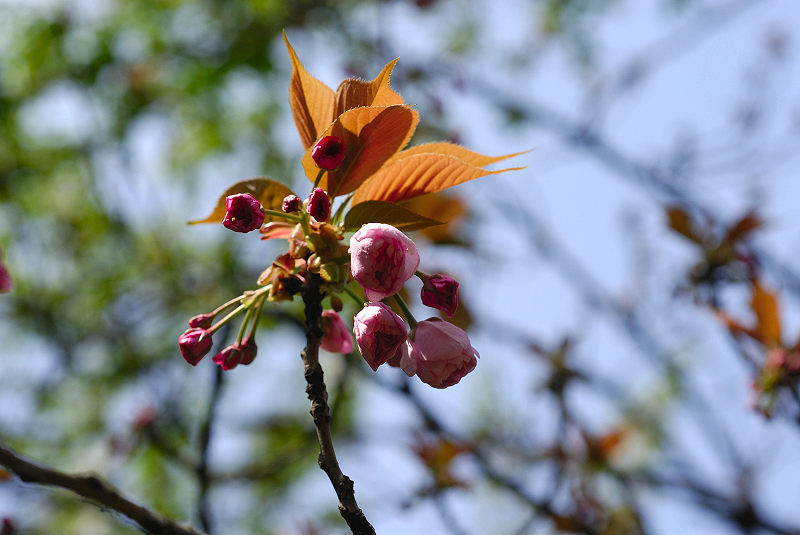 image0151
