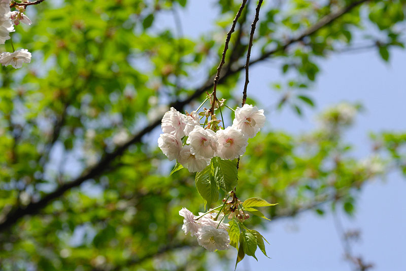 image0152
