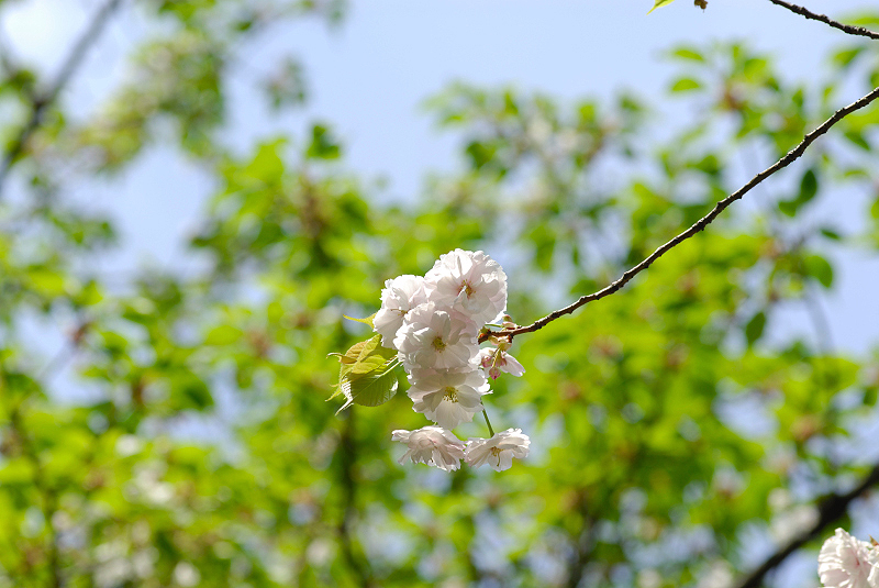 image0153