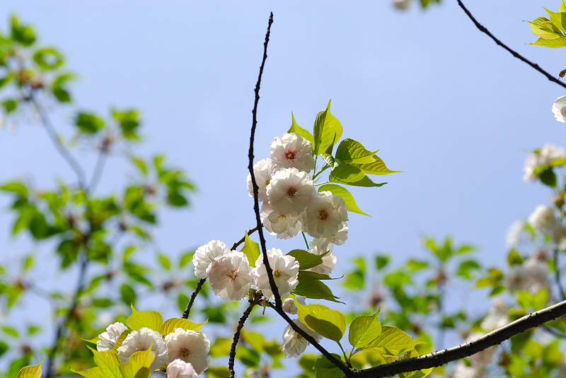 image0154
