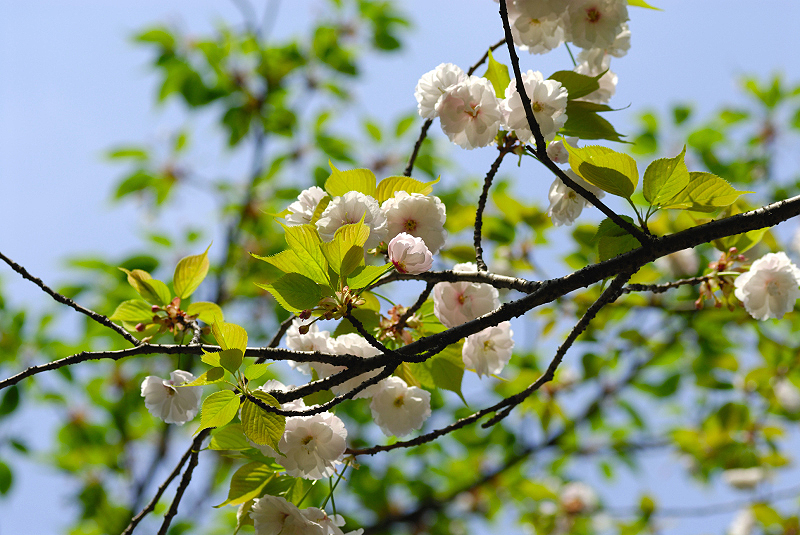 image0155