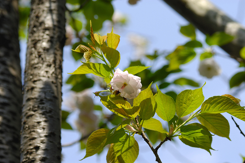image0157