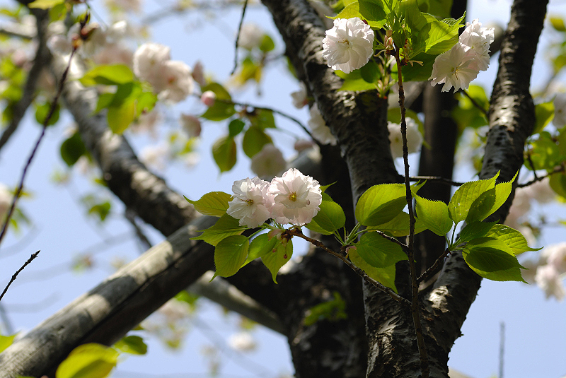 image0158