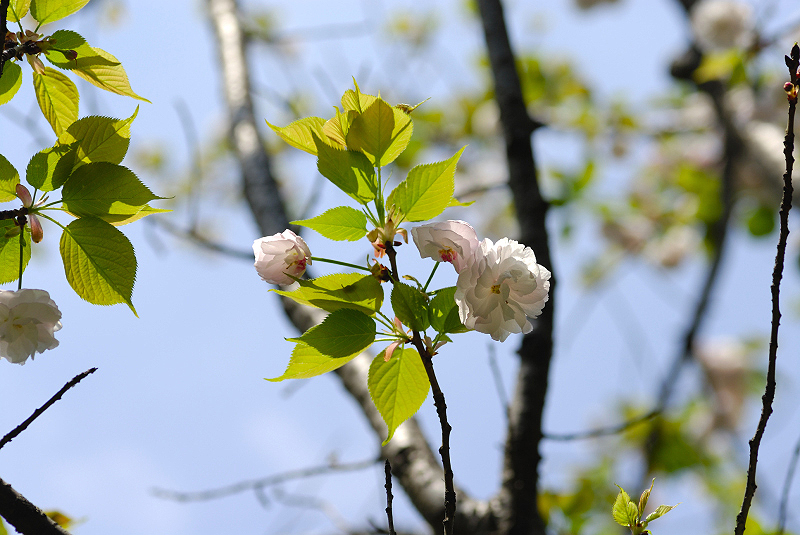 image0159