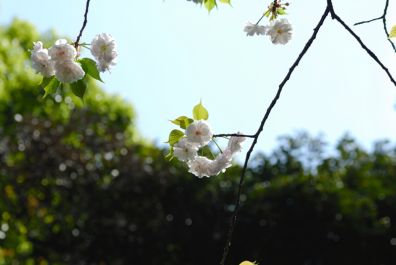 image0161