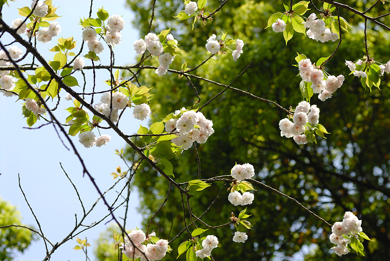 image0163