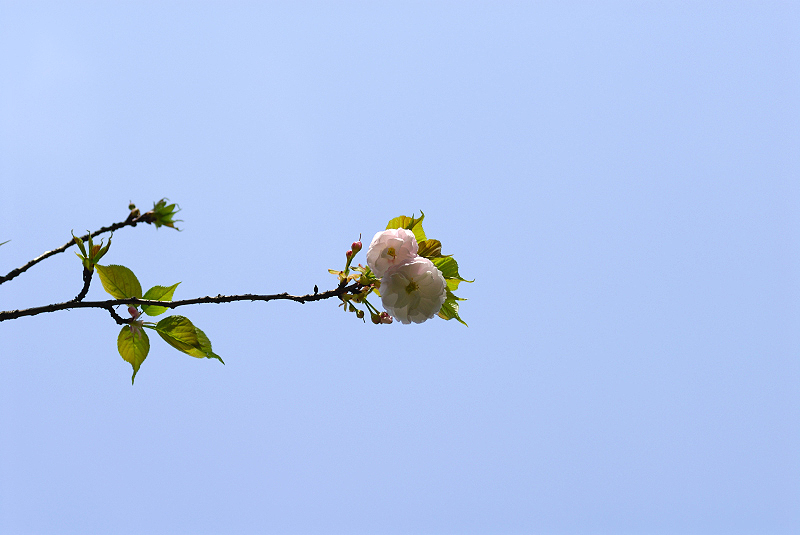 image0164