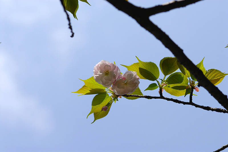image0165