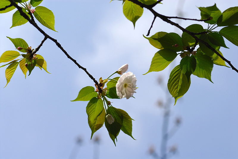 image0166