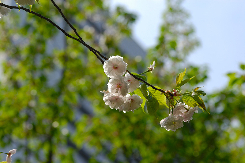 image0167