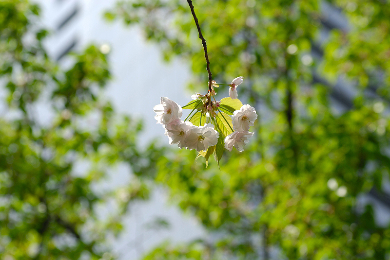 image0168