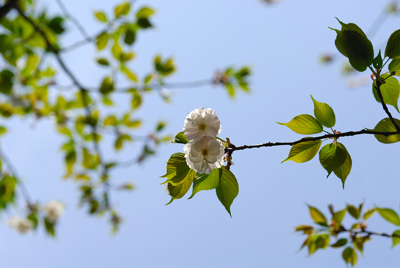 image0170