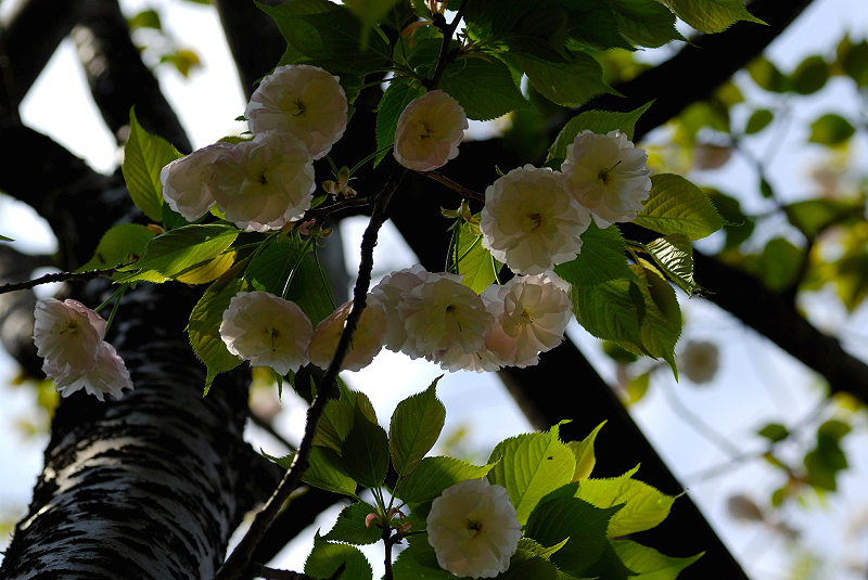 image0171