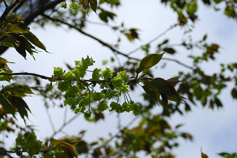 image0174