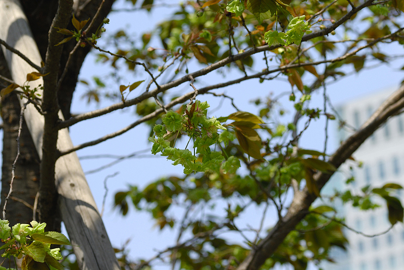 image0176