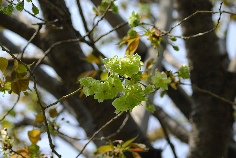image0177