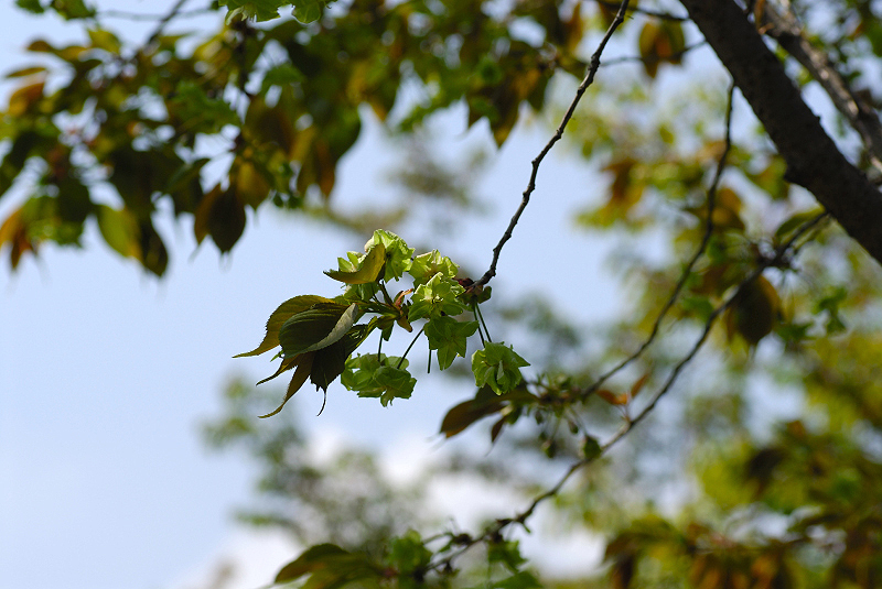 image0178